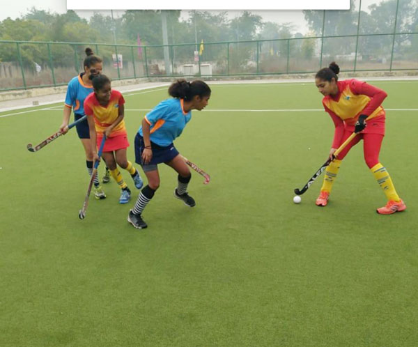 14 hockey