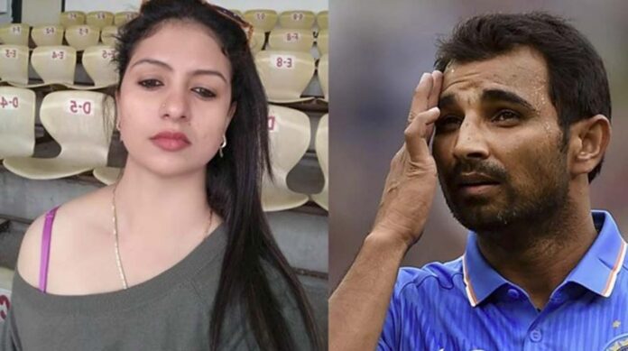 shami.jpg