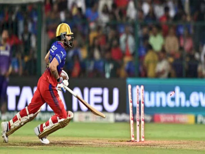 rcb-1.jpg