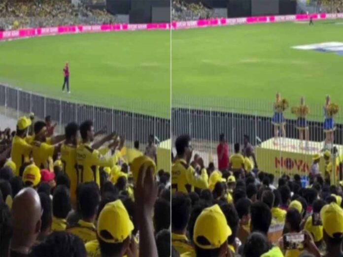 ipl.jpg