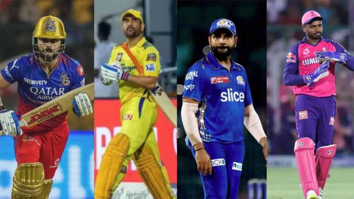 ipl1-1.jpg