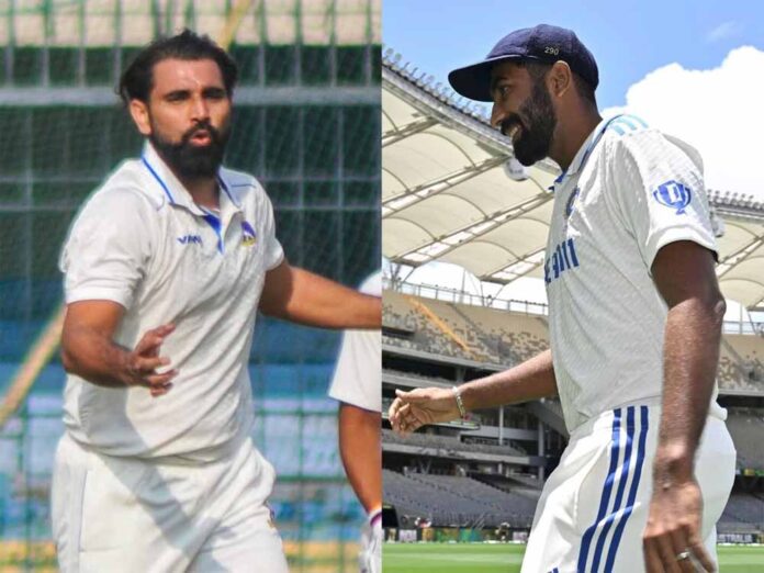 shami-3.jpg