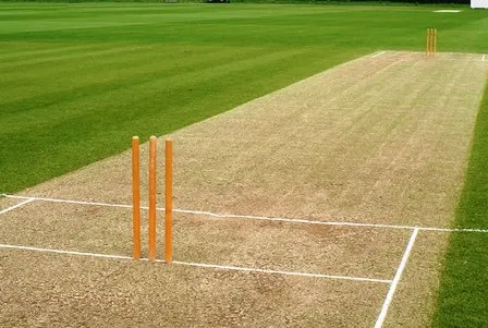 cricket