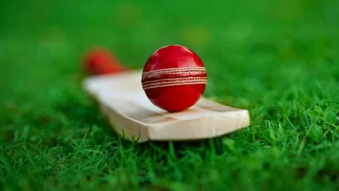 Cricket